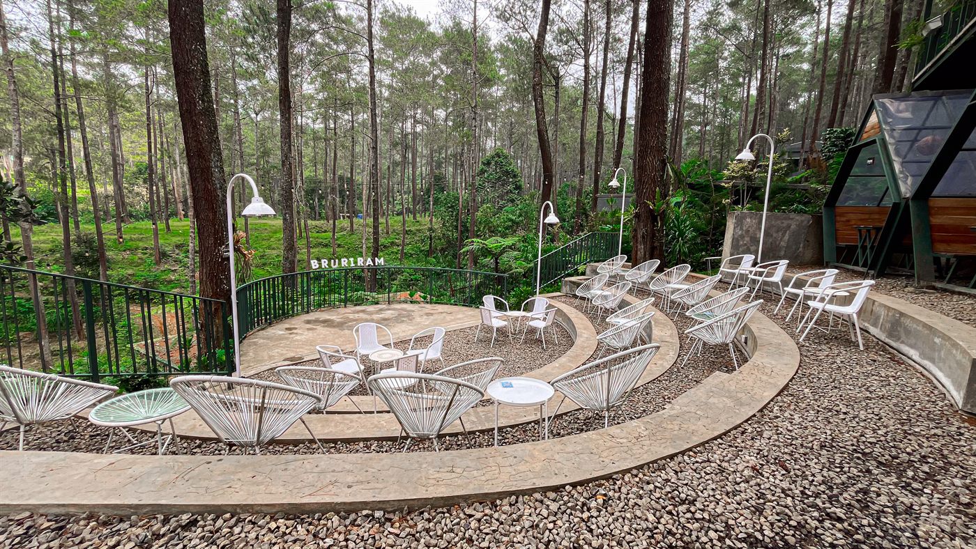 View Pegunungan & Hutan Pinus