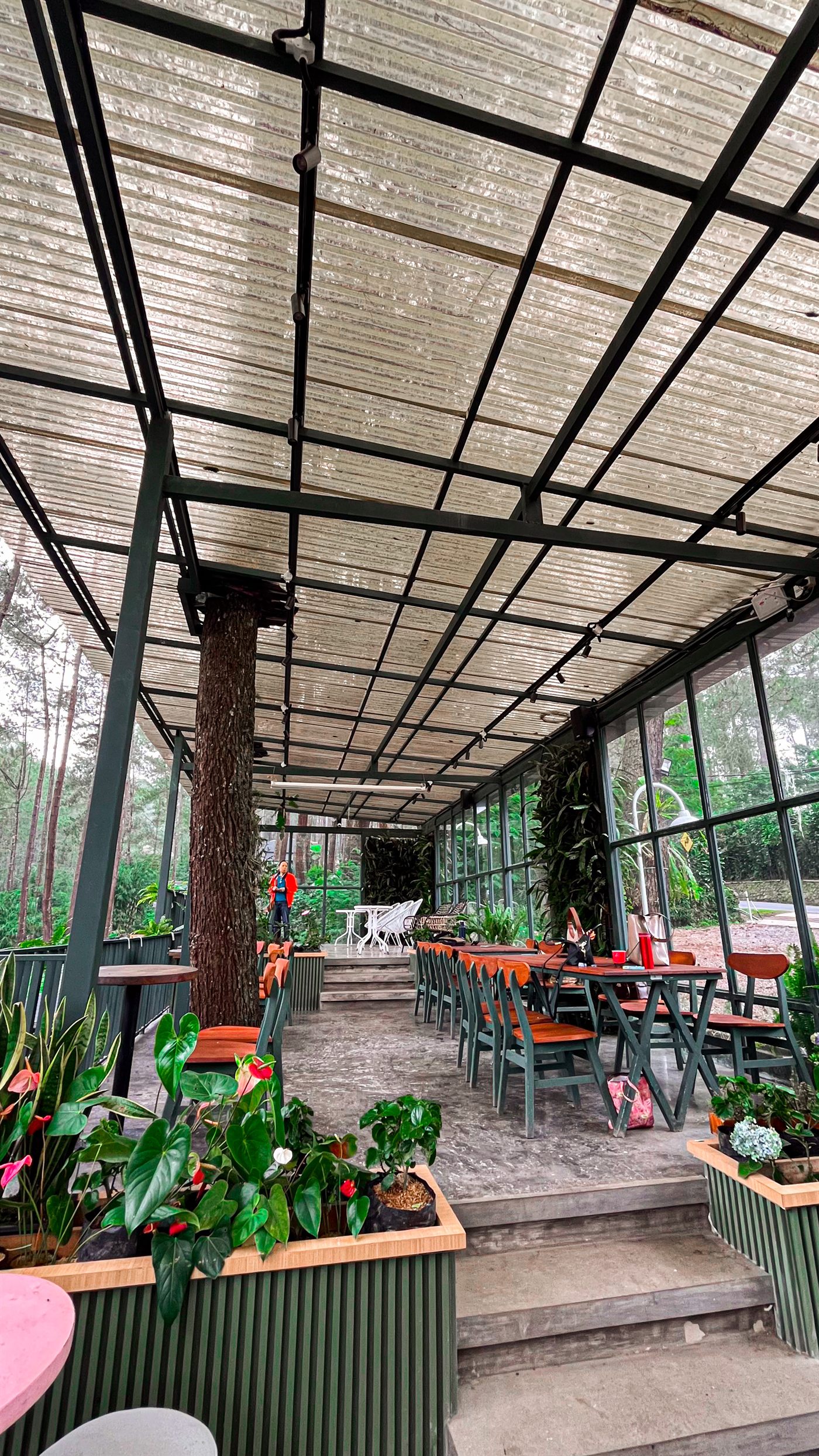 Ruang Daisy Glasshouse