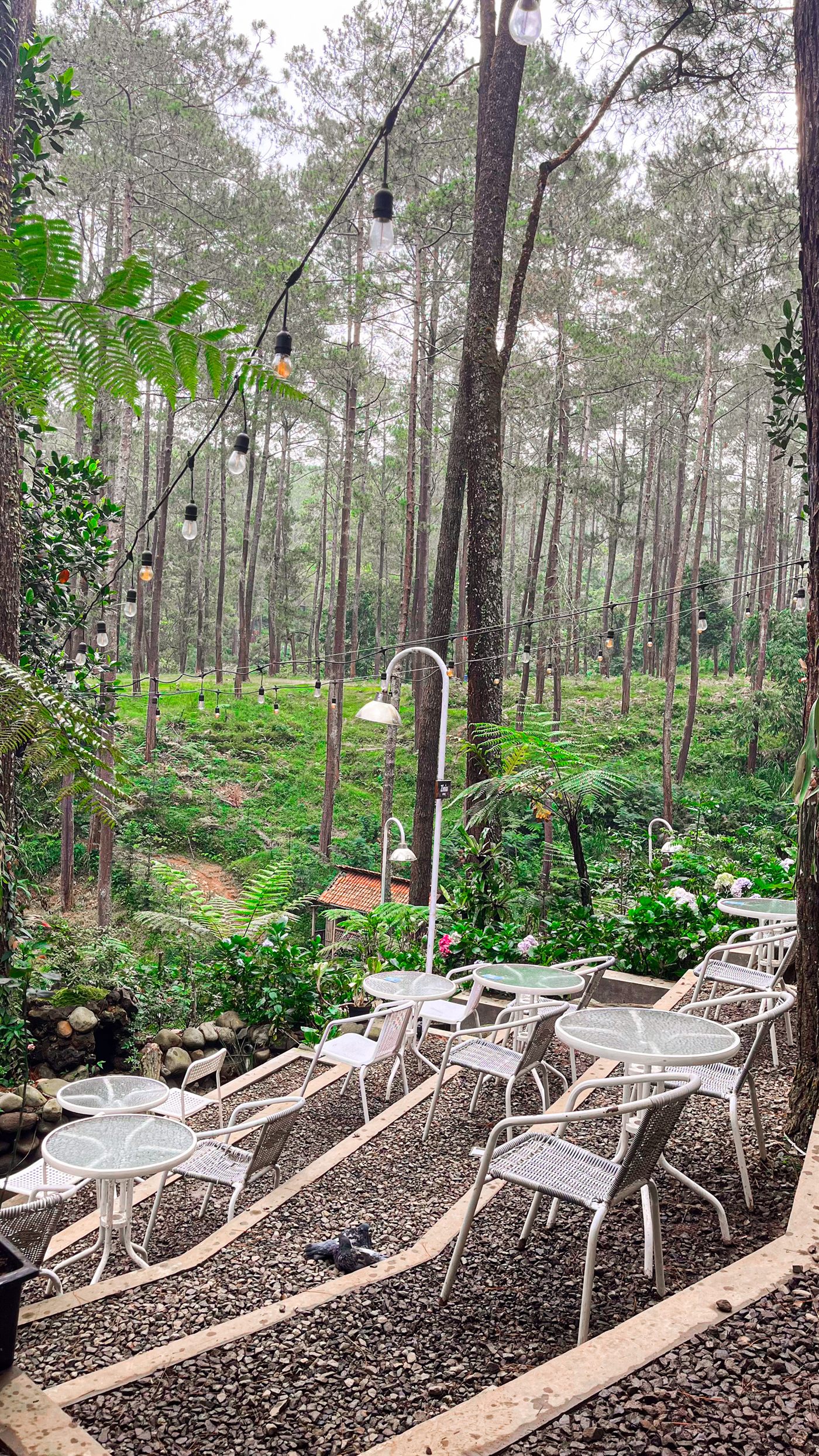 Zinia Area Teras Kanopi