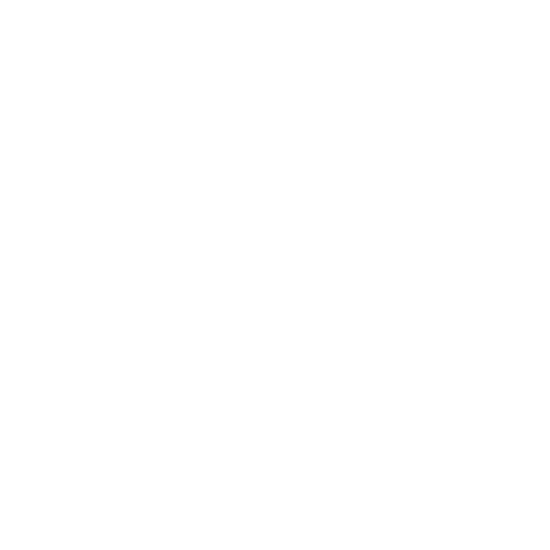 Bruriram Logo